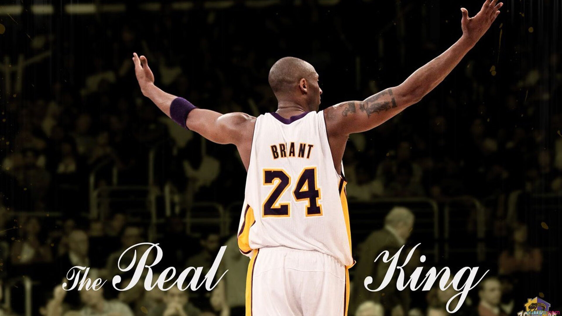 全球电竞产业蓬勃发展,中国战队再夺国际大赛冠军