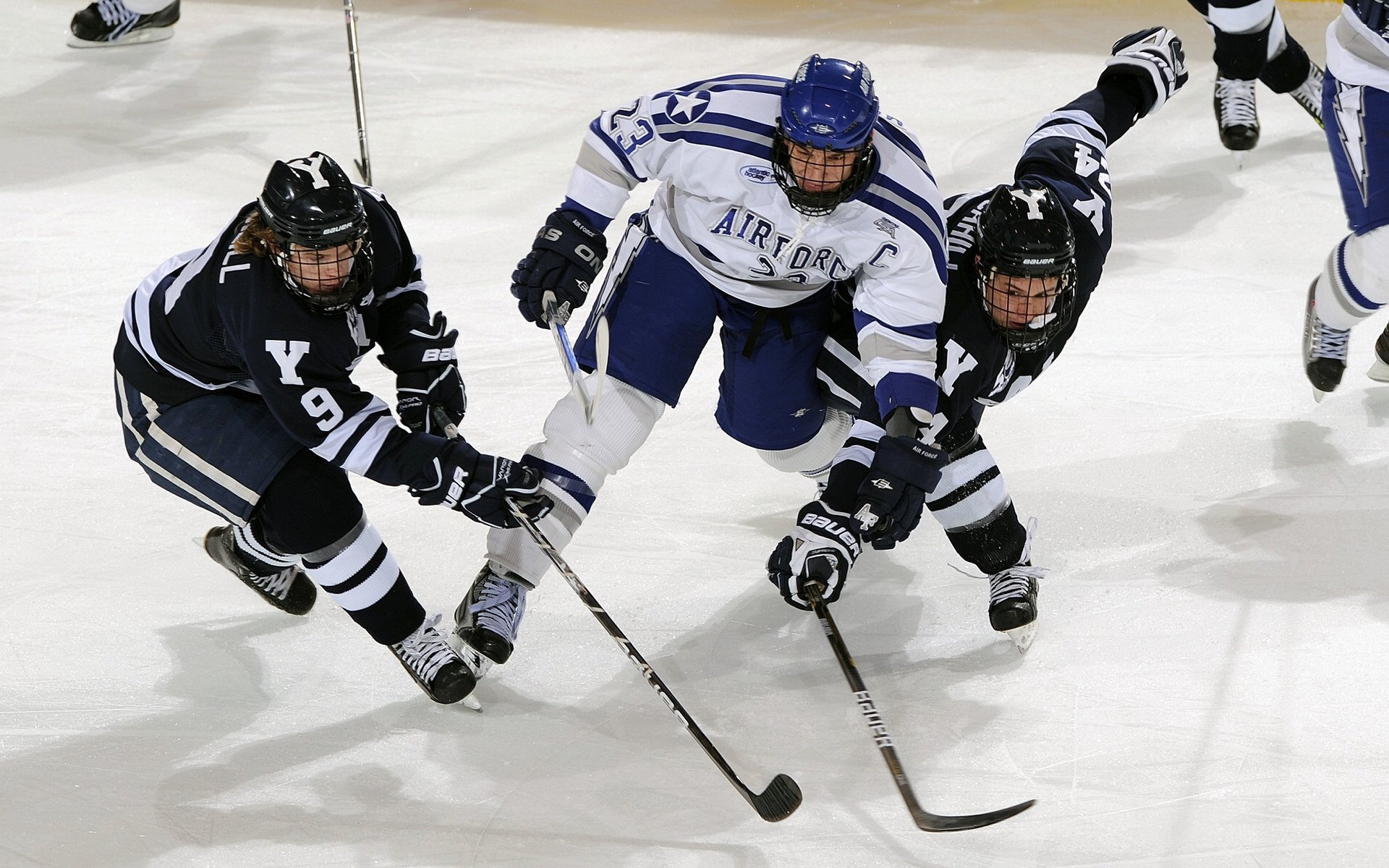 自由泳巅峰对决，世界纪录保持者再创佳绩，新星闪耀国际泳联锦标